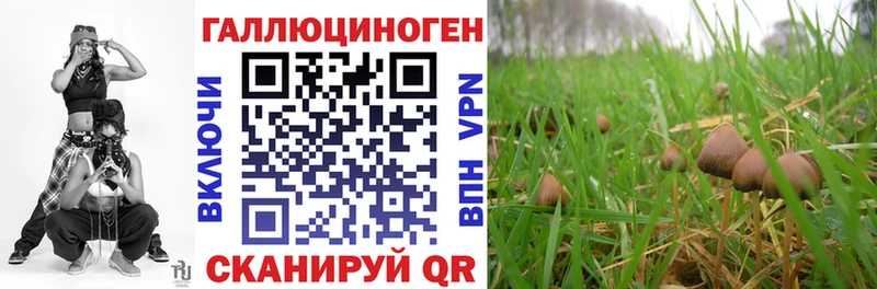 Псилоцибиновые грибы ЛСД  МЕГА ТОР  Светогорск 