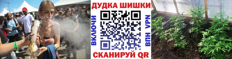 Марихуана планчик  где купить   Светогорск 